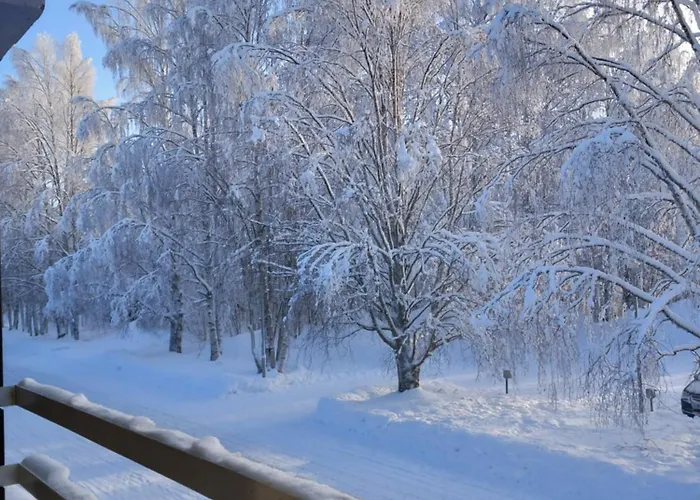 Aalto, Quiet Row House With Infrared Sauna